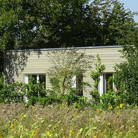 Arwen * Uhldingen-Mühlhofen