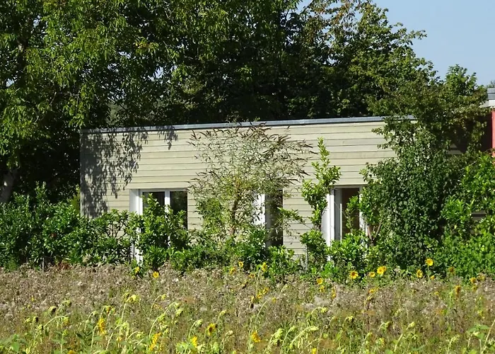 Arwen * Uhldingen-Mühlhofen